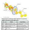 original-11591763-1.jpg Diagram illustrating Malus's Law with polarized light passing through a polarizing filter, showing the effects of polarization on light intensity.