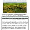 original-11915985-1.jpg Lush green landscape with fields and trees under a partly cloudy sky, showcasing land use and management methods.