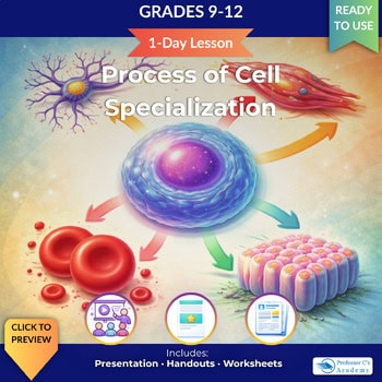 Educational illustration of the process of cell specialization for grades 9-12, showing different cell types and their functions in biology lessons.