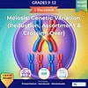 original-11955403-1.jpg Educational image showing chromosomes during meiosis for grades 9-12 science lessons.
