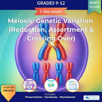 Educational image showing chromosomes during meiosis for grades 9-12 science lessons.