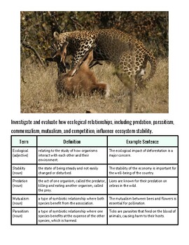 original-11972635-1.jpg Leopard hunting a young antelope in the wild, showcasing predator-prey behavior in nature.
