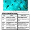 original-11972681-1.jpg Underwater view of various fish swimming in clear blue water, illustrating aquatic ecosystem diversity.