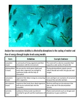 Underwater view of various fish swimming in clear blue water, illustrating aquatic ecosystem diversity.