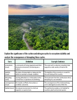 Aerial view of a lush green forest with a winding river and mist, highlighting ecosystem health and biodiversity.
