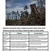original-11972838-1.jpg Deforestation scene showing a tree stump and cleared land, highlighting environmental impact and loss of biodiversity.