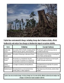Deforestation scene showing a tree stump and cleared land, highlighting environmental impact and loss of biodiversity.