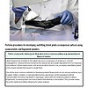 original-12061084-1.jpg Scientist performing procedures on a black device using a brush and a white container in a laboratory setting.