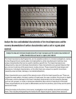 original-12061534-1.jpg Close-up of tire tread impressions showing surface characteristics for homeschool science and engineering projects.