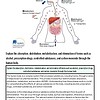 original-12067794-1.jpg Homeschool Resource Co. educational image illustrating human digestion and toxin elimination processes.