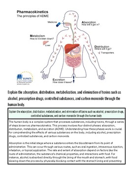 original-12067794-1.jpg Homeschool Resource Co. educational image illustrating human digestion and toxin elimination processes.