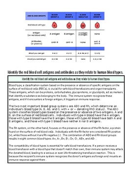 Red blood cell diagram showing antigens and antibodies related to blood types for educational purposes.