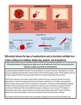 original-12090964-1.jpg Diagram illustrating different types of wound patterns: lacerations, blunt force trauma, and gunshot wounds, with details on severity and injury characteristics.