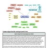 original-12135438-1.jpg Diagram illustrating the relationship between religion, society, and the philosophy of religion, with color-coded sections on religious studies, sociology, and theology.