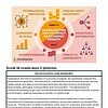 original-12210395-1.jpg Homeschool Resource Co. educational materials for homeschooling, featuring books, worksheets, and learning tools for children and parents.