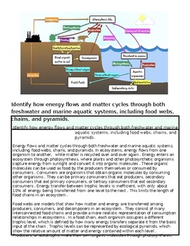 Diagram illustrating energy flows and matter cycles in freshwater and marine aquatic systems, including food webs, chains, and pyramids.