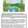 original-12259720-1.jpg Aquatic ecosystem diagram showing interdependence of organisms like fish, plants, bacteria, and fungi in a pond environment.