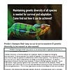 original-12337192-1.jpg Close-up of a vibrant green and orange chameleon with detailed skin texture, highlighting genetic diversity and adaptation.