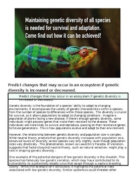 Close-up of a vibrant green and orange chameleon with detailed skin texture, highlighting genetic diversity and adaptation.