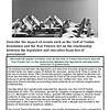 original-12570310-1.jpg Gulf of Tonkin Resolution and War Powers Act historical image with military ships and aircraft.