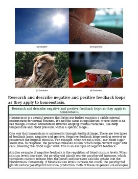 Sun and cloud images illustrating positive and negative feedback loops in homeschooling research.