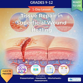 Educational cover image for tissue repair in superficial wound healing, featuring illustrations of skin layers and healing process, for grades 9-12 homeschool science.