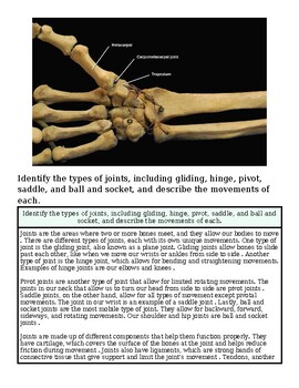 original-12626413-1.jpg Anatomical image of a human wrist showing bones, joints, and ligaments for educational purposes.
