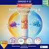 original-12626514-1.jpg Educational cover image for Bone Remodeling & Healing lesson for grades 9-12, featuring colorful graphics of bones and immune cells, ideal for homeschooling science resources.