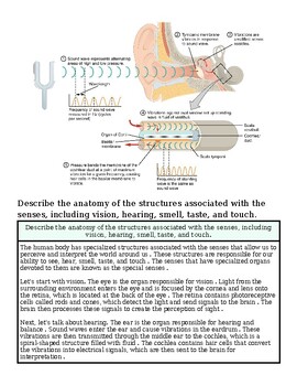 original-12627260-1.jpg Diagram illustrating the anatomy of the senses including vision, hearing, smell, taste, and touch with labeled parts and functions.