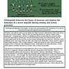 original-12627598-1.jpg Diagram illustrating neuron types, their functions, and action potential initiation for educational purposes.