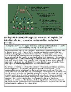 Diagram illustrating neuron types, their functions, and action potential initiation for educational purposes.