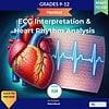 original-12638946-1.jpg Educational handout on ECG interpretation and heart rhythm analysis for grades 9-12 students from Homeschool Resource Co.