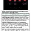 original-12639533-1.jpg Microscopic view of blood cells showing antigens with AB blood type markers and immune response elements.