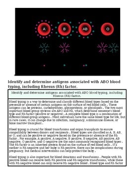 original-12639533-1.jpg Microscopic view of blood cells showing antigens with AB blood type markers and immune response elements.