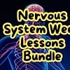 original-12655749-1.jpg Nervous System Week Lessons Bundle for homeschool education, featuring colorful graphics of a human nervous system and brain.