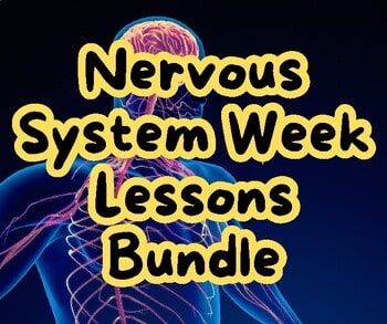 Nervous System Week Lessons Bundle for homeschool education, featuring colorful graphics of a human nervous system and brain.