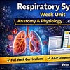 original-12655819-1.jpg Illustration of the respiratory system showing lungs and airways, with educational materials on anatomy and physiology for homeschool learning.