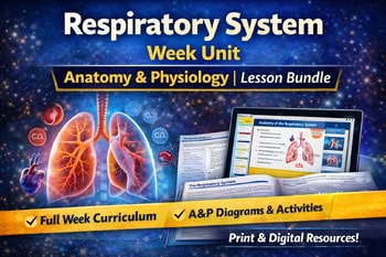 Illustration of the respiratory system showing lungs and airways, with educational materials on anatomy and physiology for homeschool learning.