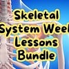 original-12655907-1.jpg Educational image promoting skeletal system week lessons bundle for homeschooling, featuring a detailed 3D illustration of human bones and spine.