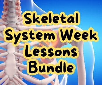 Educational image promoting skeletal system week lessons bundle for homeschooling, featuring a detailed 3D illustration of human bones and spine.