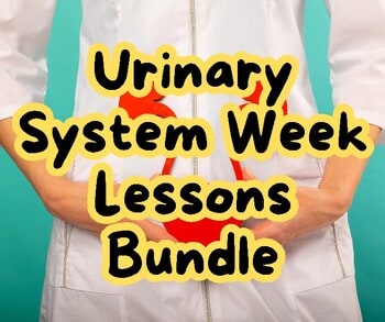 original-12656063-1.jpg Urinary system week lessons bundle for homeschool education, featuring colorful text and medical illustration of the urinary system.