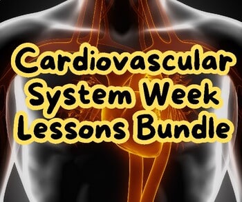 original-12656121-1.jpg Educational image promoting Cardiovascular System Week lessons bundle for homeschool students.