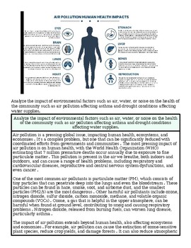 Human silhouette infographic showing air pollution impacts on health, including effects on eyes, brain, lungs, heart, stomach, liver, bones, reproduction, and skin.