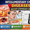 original-15783274-1.jpg Educational poster on integumentary system diseases, anatomy, and physiology with images of skin, skin infections, and study materials.