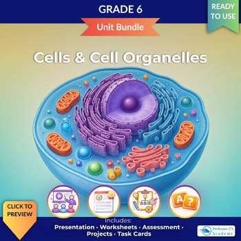 Detailed illustration of a cell showing nucleus, mitochondria, and other organelles for Grade 6 science education.