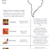 South America Homeschool Resources Map of South America with descriptions of raw materials used for homeschooling crafts and projects in various countries.