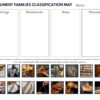 Homeschool Resource Co. Instrument Families Chart Educational instrument families classification chart with images of various musical instruments for homeschooling resources.