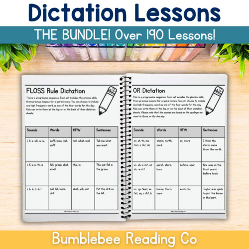 1 Dictation Spelling Lessons -THE BIG BUNDLE! OVER 190 LESSONS, 30+ Phonics Skills
