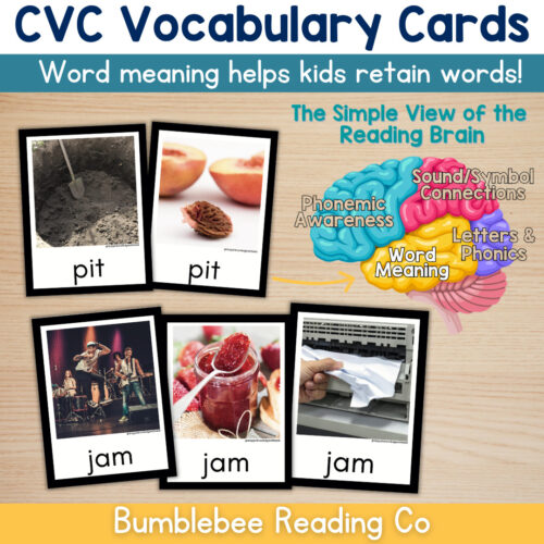 1 CVC Word Vocabulary Cards Phonics Comprehension Meaning