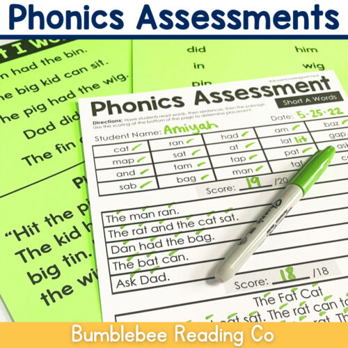 Phonics Assessments - CVC Words -Mastery Quick Checks - Science of Reading